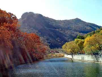 澳门天天彩期期精准平肖，什么胶水可以粘住铁